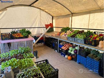 TERRENO PRONTO PER ATTIVITA AGRICOLA FALCONARA MA