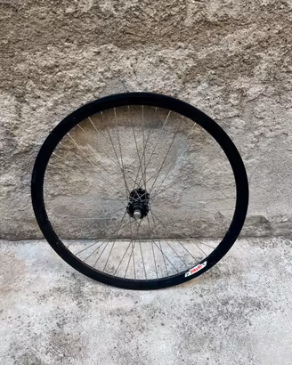 Ruota da polo, surly / velocity