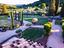 Immagine 22