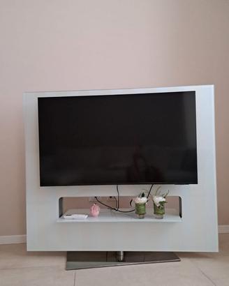 Pannello porta TV