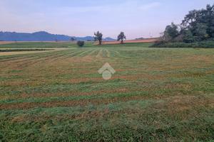 TER. AGRICOLO A MISSAGLIA