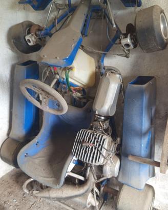 Go kart 125 pavesi ad aria 6 marce carb. 34