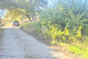 TER. RESIDENZIALE A MONREALE