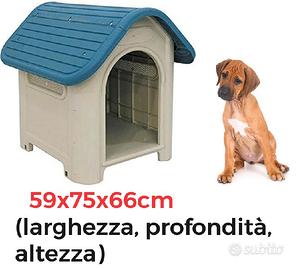 Casetta per cani