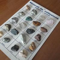 COLLEZIONI MINERALI