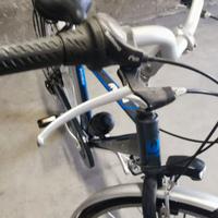 Bicicletta uomo rollmar