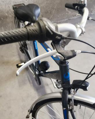 Bicicletta uomo rollmar