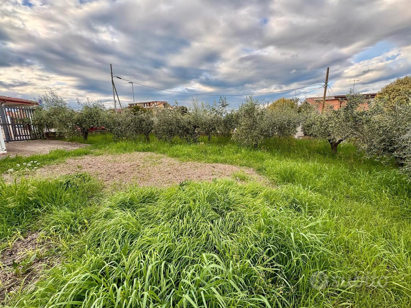 Terreno Agricolo Colle Fiorito - Vista 4