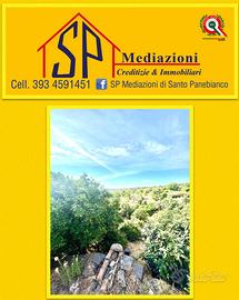 Terreno Edificabile TAGLIABORSA