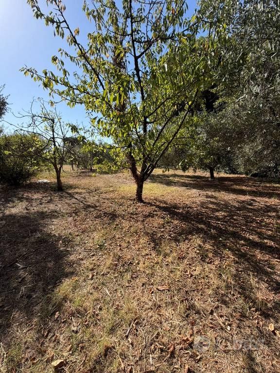 Terreno di 2500 m² a Velletri - Vista 4
