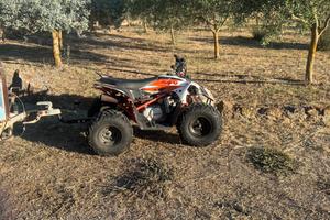 Quad kayo predator 125