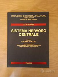 SISTEMA NERVOSO CENTRALE (GAUDIO) E ATLANTE NETTER