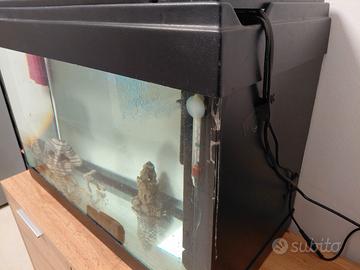 acquario 