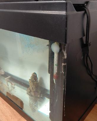 acquario 