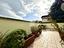 Immagine 18
