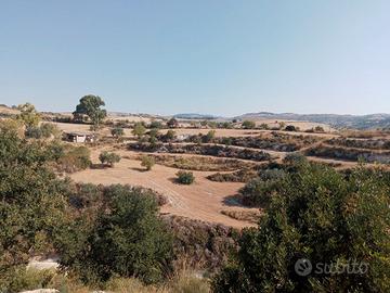 Terreno con rustico
