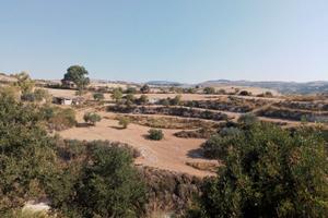 Terreno con rustico