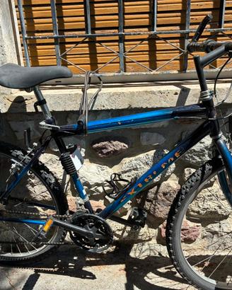 bicicletta uomo 