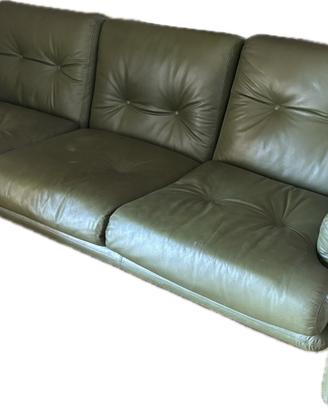Divano e 2poltrone B&B Italia Coronado pelle verde