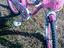 Immagine 3
