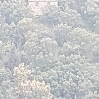 Cascina con uliveto e castagneto