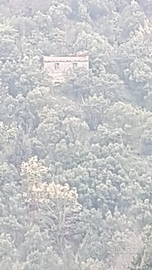 Cascina con uliveto e castagneto