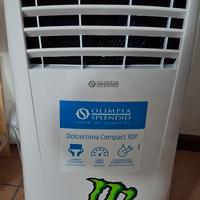 climatizzatore portatile