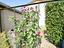 Immagine 12