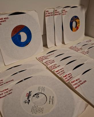 lotto 18 vinili reggae/dancehall anni 2000