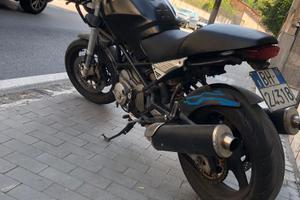 Ducati Monster dark