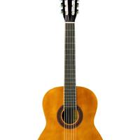 Chitarra Eko nuova