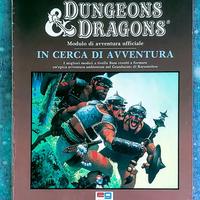 Dungeons & Dragons B1-9: In Cərca di Avventura