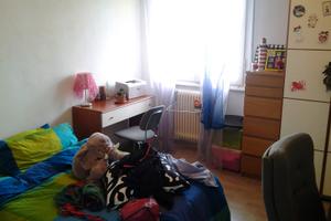 Camera singola per ragazza pisa centro