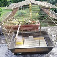 gabbia per uccellini