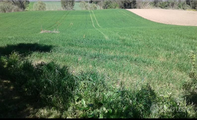 Terreno - Spoltore Santa Teresa