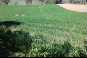 Terreno - Spoltore Santa Teresa