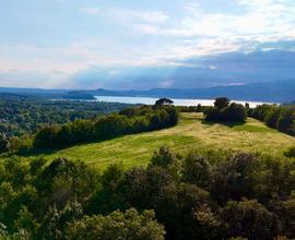 TENUTA I 2 PINI