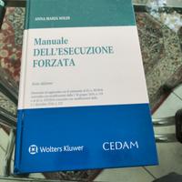Manuale Dell ' Esecuzioni Forzata - Cedam 