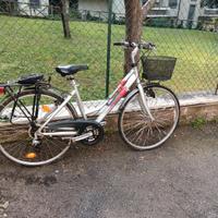 bianchi 