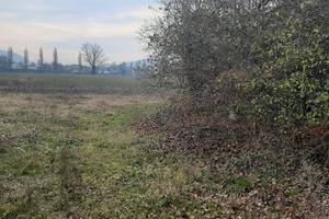SAN BIAGIO DI TEOLO Rustico accostato da ristruttu