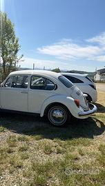 Vw maggiolone