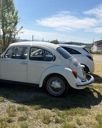 Vw maggiolone