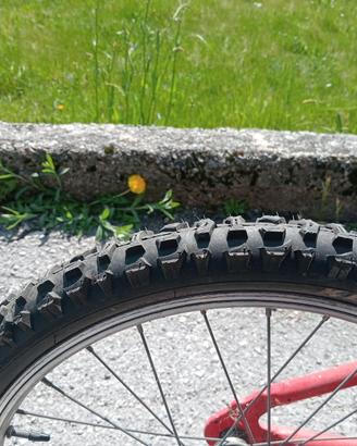 Bicicletta