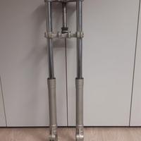 Forcelle  e ruota anteriore HM 50