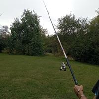 canna da pesca con mulinello