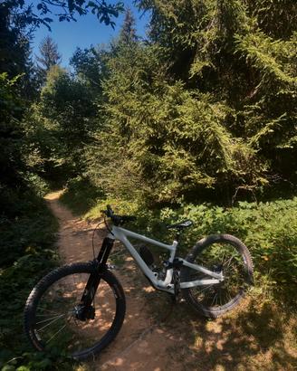 Specialized enduro elite 2020