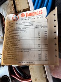 Scheda immergas avio maior