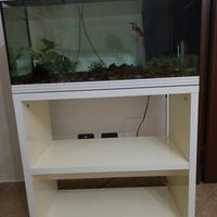 Acquario completo di mobiletto 