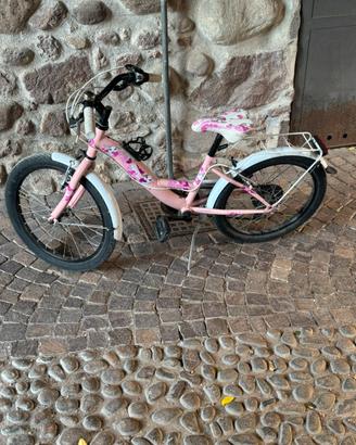 Bicicletta bambina