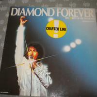 Disco vinile 33 giri